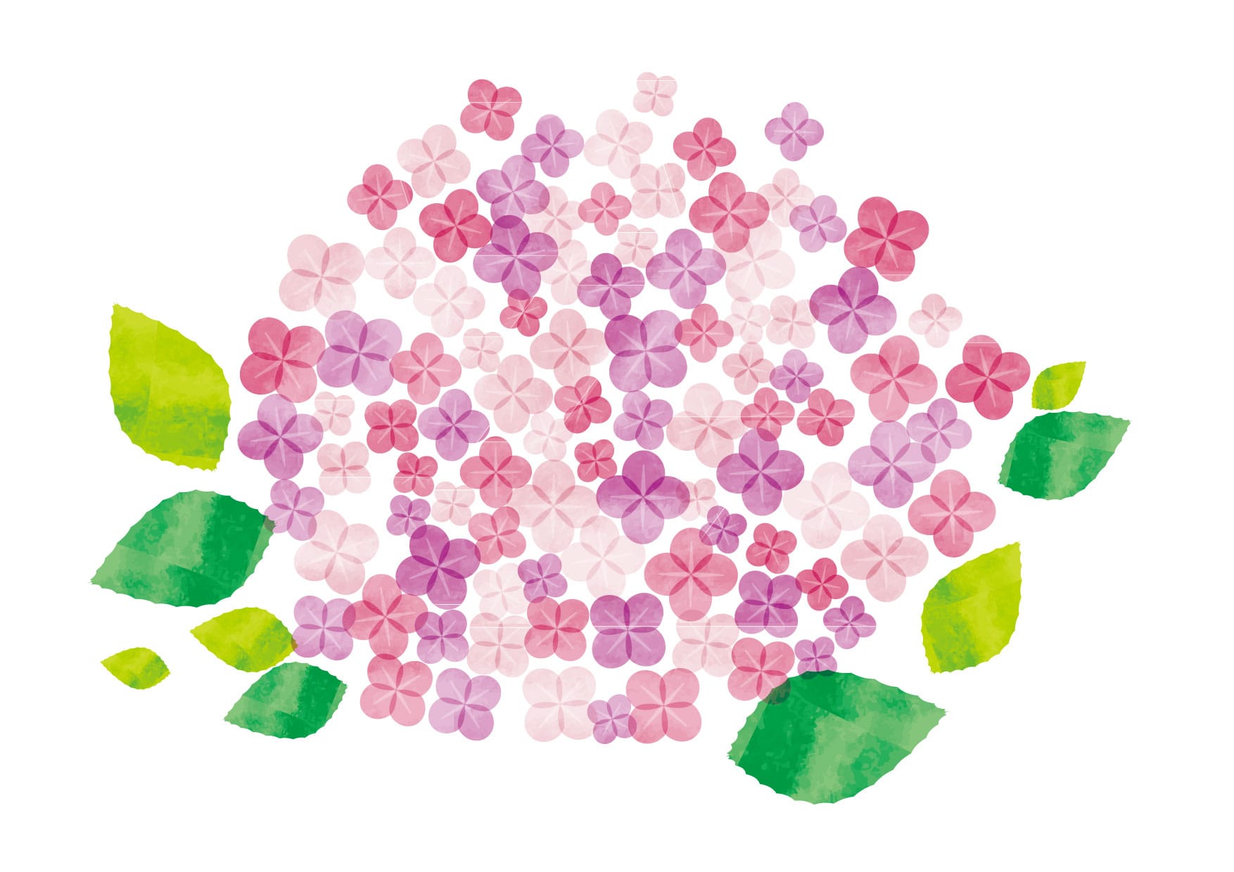 可愛いイラスト無料｜あじさい　水彩　ピンク色　花 − free illustration  Hydrangea watercolor pink flowers