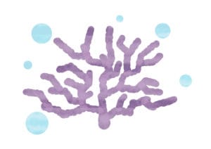 珊瑚（さんご）　紫色　イラスト　無料