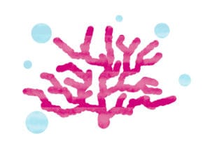 珊瑚（さんご）　ピンク色　イラスト　無料