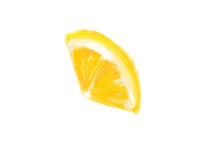 手書き　オレンジ　1つ　イラスト　無料2