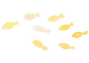 水彩　金魚　黄色　イラスト　無料