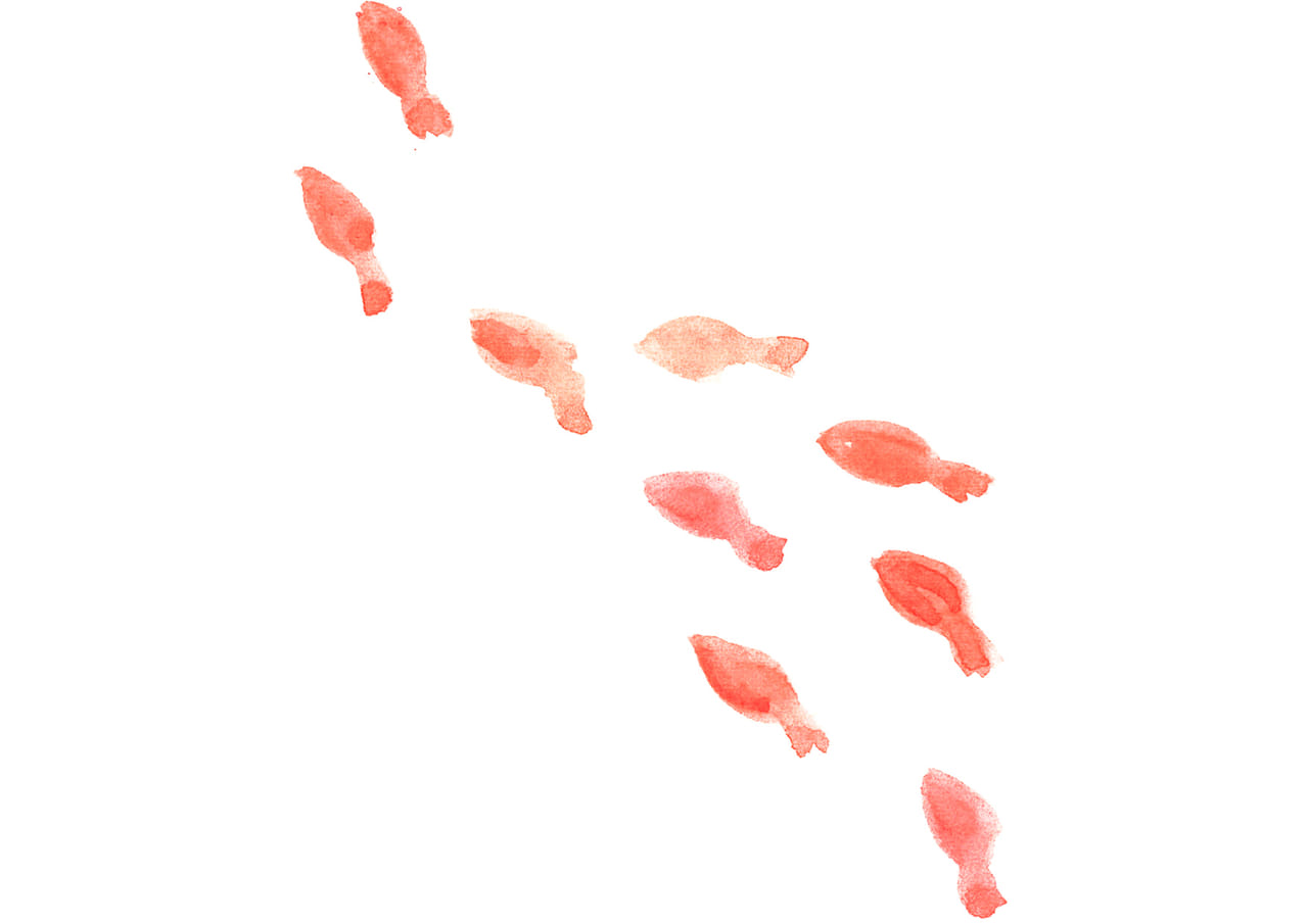 可愛いイラスト無料 水彩 金魚 赤色 公式 イラストダウンロード