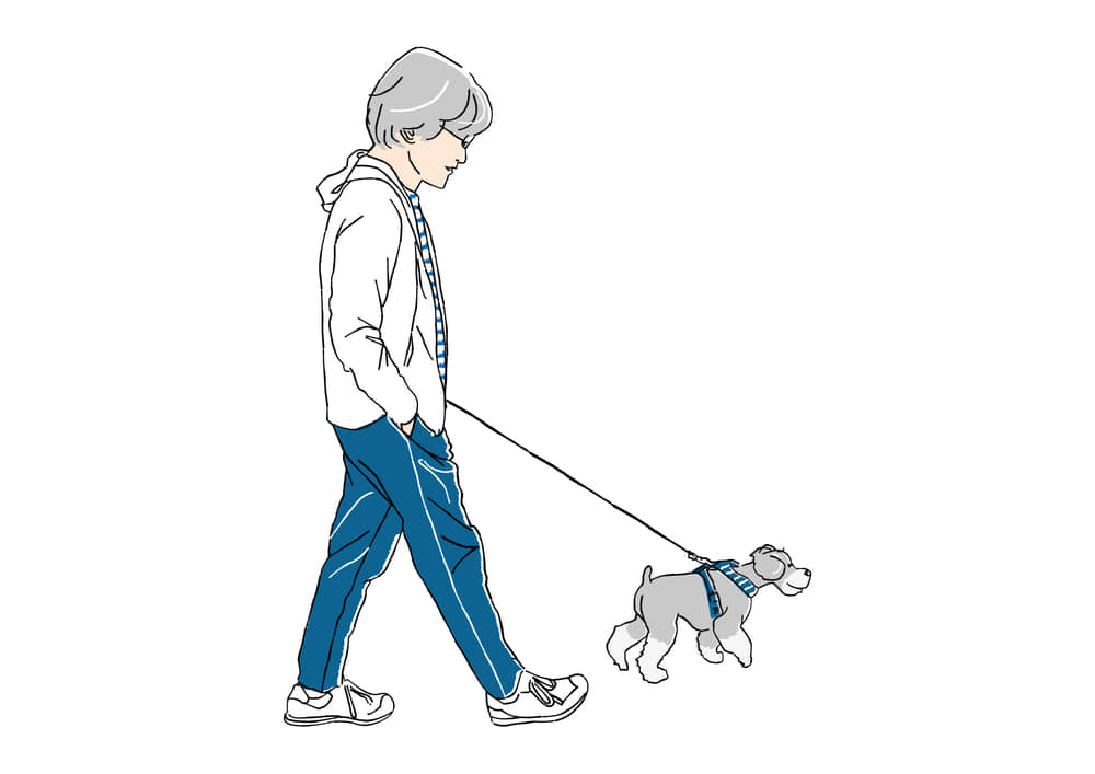 ぜいたく犬 散歩 イラスト 無料 最高の動物画像