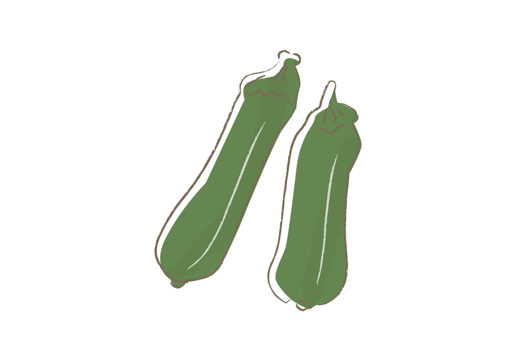 可愛いイラスト無料 野菜 ズッキーニ 公式 イラストダウンロード