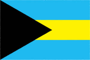 国旗 イラスト 無料｜バハマ国の国旗