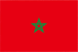 国旗 イラスト 無料｜モロッコ王国の国旗