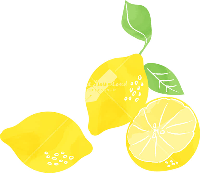 イラストデータ販売 レモン 手書き 公式 イラスト素材サイト イラストダウンロード