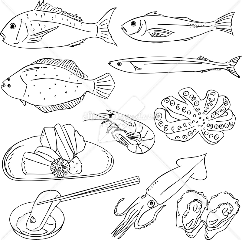 イラストデータ販売｜魚　和食　あしらい　ペン画　手書き　イラストデータ