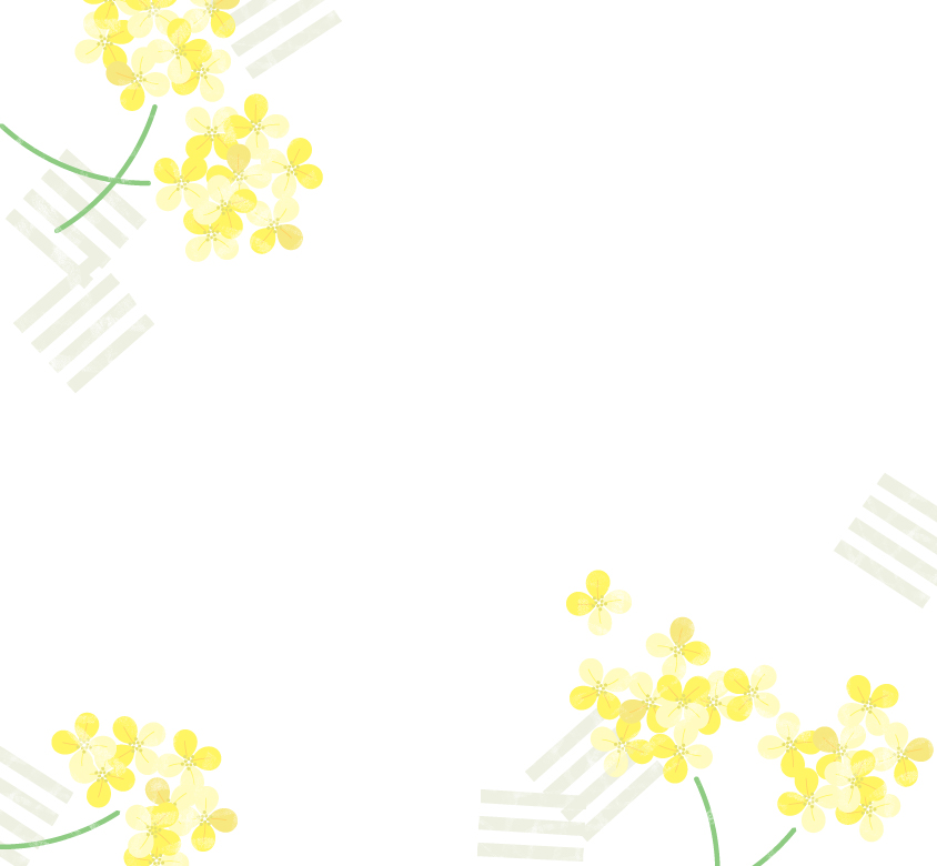 イラスト無料｜春　シンプルな菜の花の背景素材