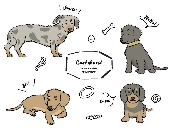 イラスト無料 ダックスフント 犬の手書きイラストセット 公式 イラストダウンロード