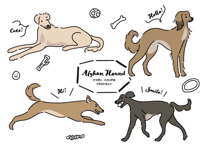 イラスト無料 アフガン ハウント 犬の手書きイラストセット 公式 イラストダウンロード