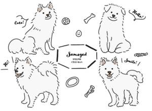イラスト無料 パグ 犬の手書きイラストセット 公式 イラストダウンロード