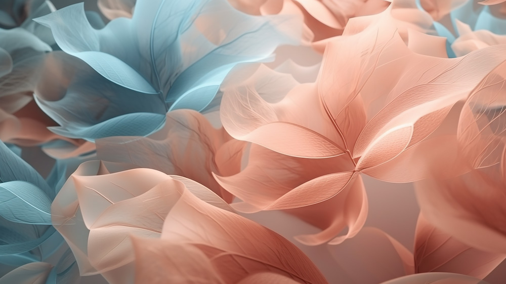 透明の花びらと淡い色の背景6｜イラスト無料