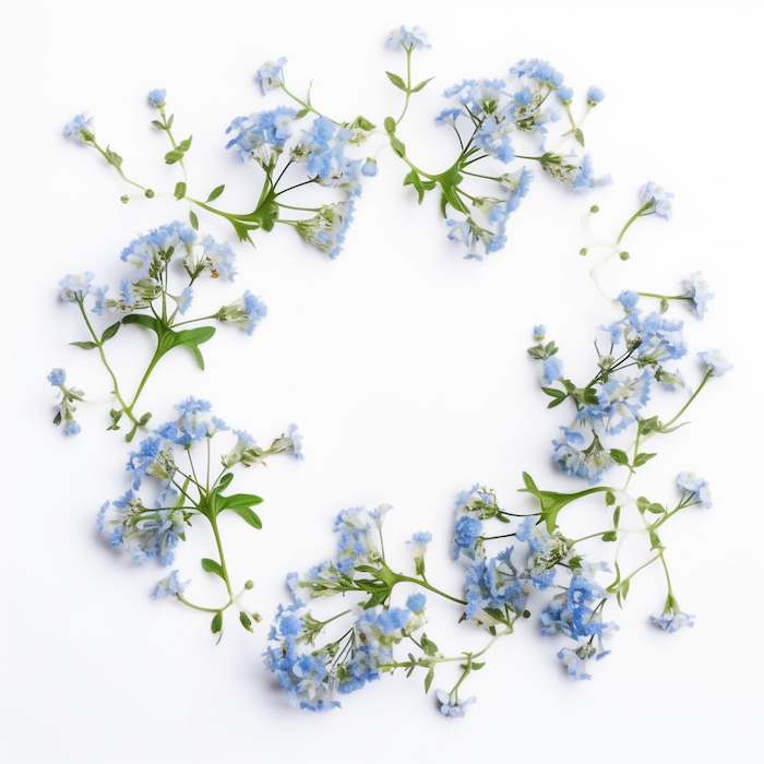 青い花のフレーム・背景素材3｜無料