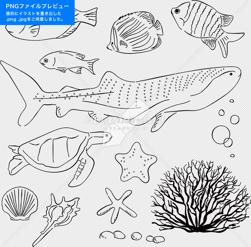 イラストデータ販売 海 魚 ジンベイザメ ウミガメ あしらい ペン画 手書き イラストデータ 公式 イラストダウンロード