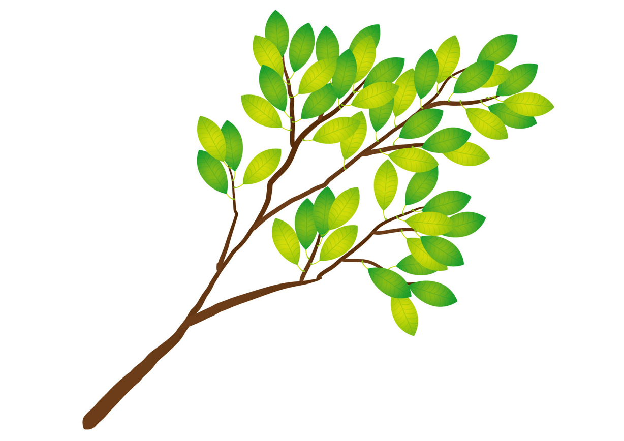 可愛いイラスト無料 木の枝 緑色 Free Illustration Tree Branch Green 公式 イラスト素材サイト イラスト ダウンロード