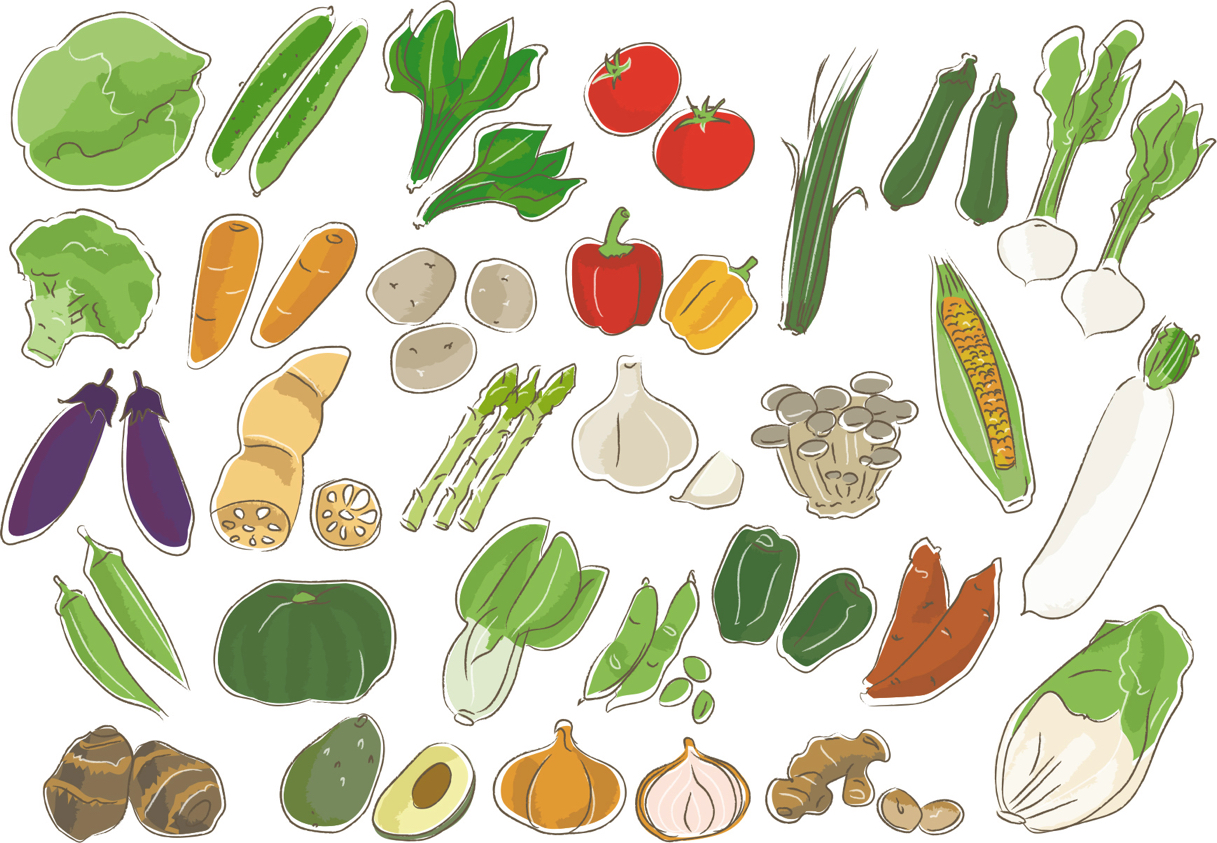 可愛いイラスト無料 野菜 セット 公式 イラスト素材サイト イラストダウンロード