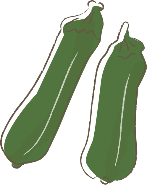 可愛いイラスト無料 野菜 ズッキーニ 公式 イラストダウンロード