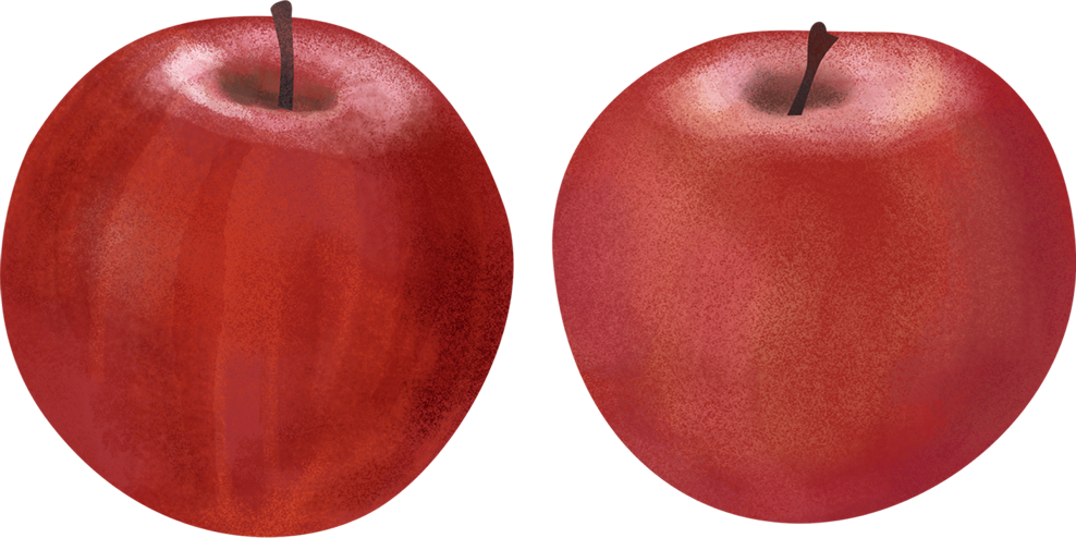 手書き りんご 2つ 公式 イラスト素材サイト イラストダウンロード
