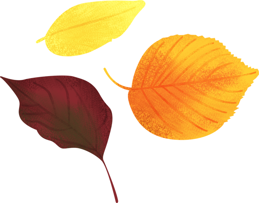 手書きイラスト無料 手書き 様々な葉っぱ 秋 赤色2 公式 イラストダウンロード