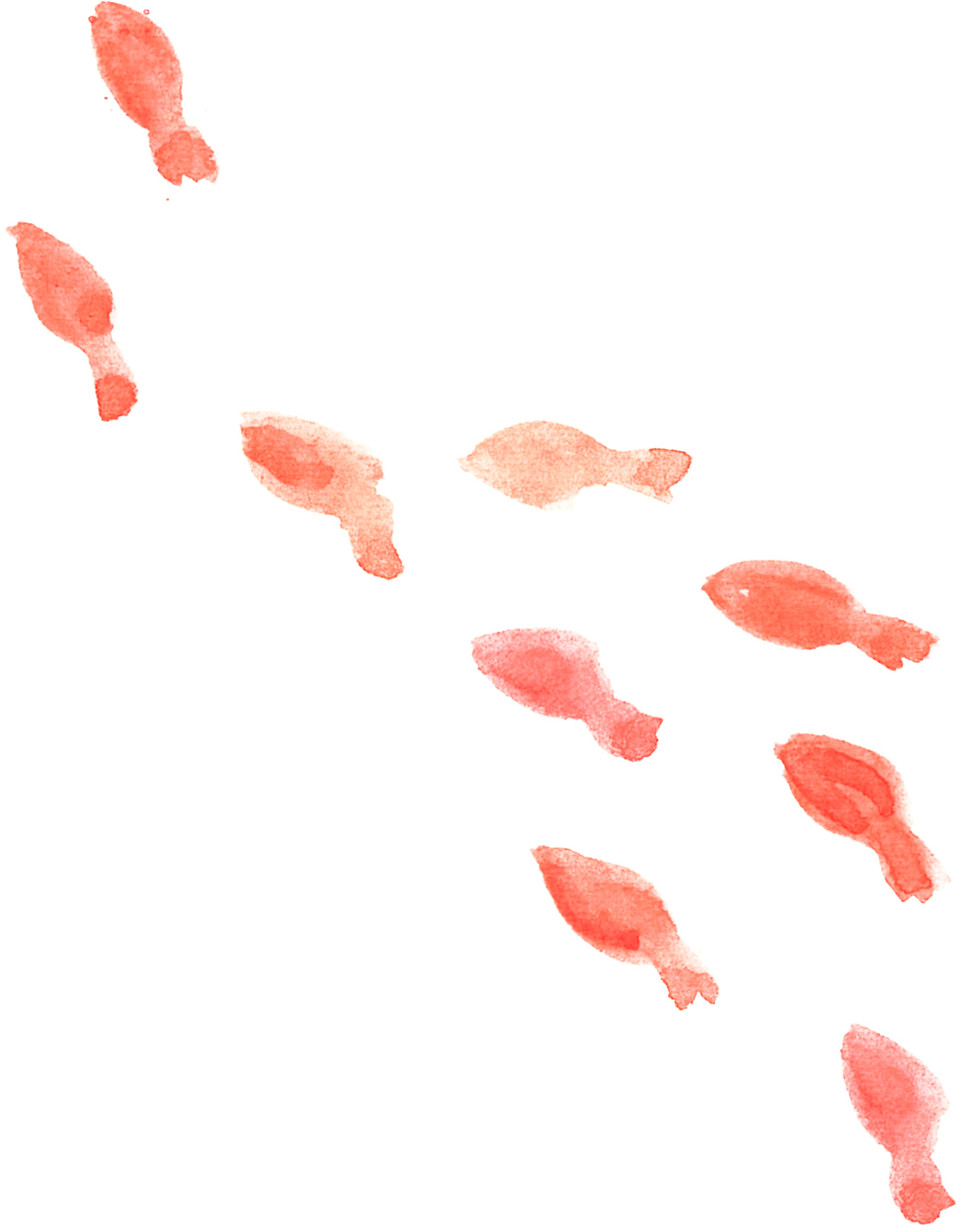 可愛いイラスト無料 水彩 金魚 赤色 公式 イラスト素材サイト イラストダウンロード