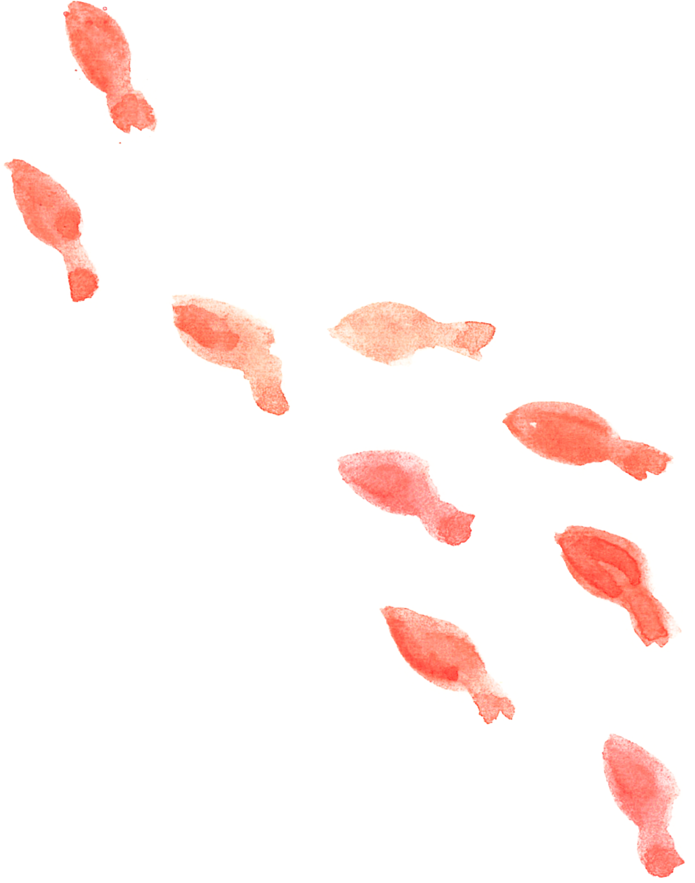 可愛いイラスト無料 水彩 金魚 赤色 イラストダウンロード