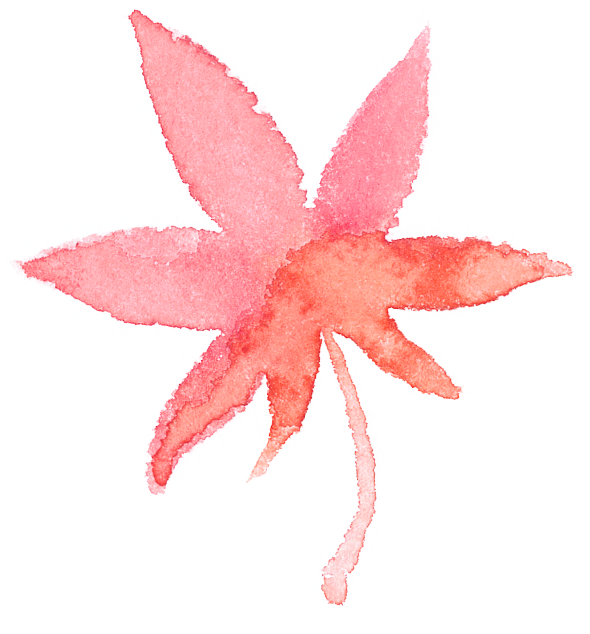 コンプリート 花 イラスト 無料 水彩 透明なpng画像を無料でダウンロード
