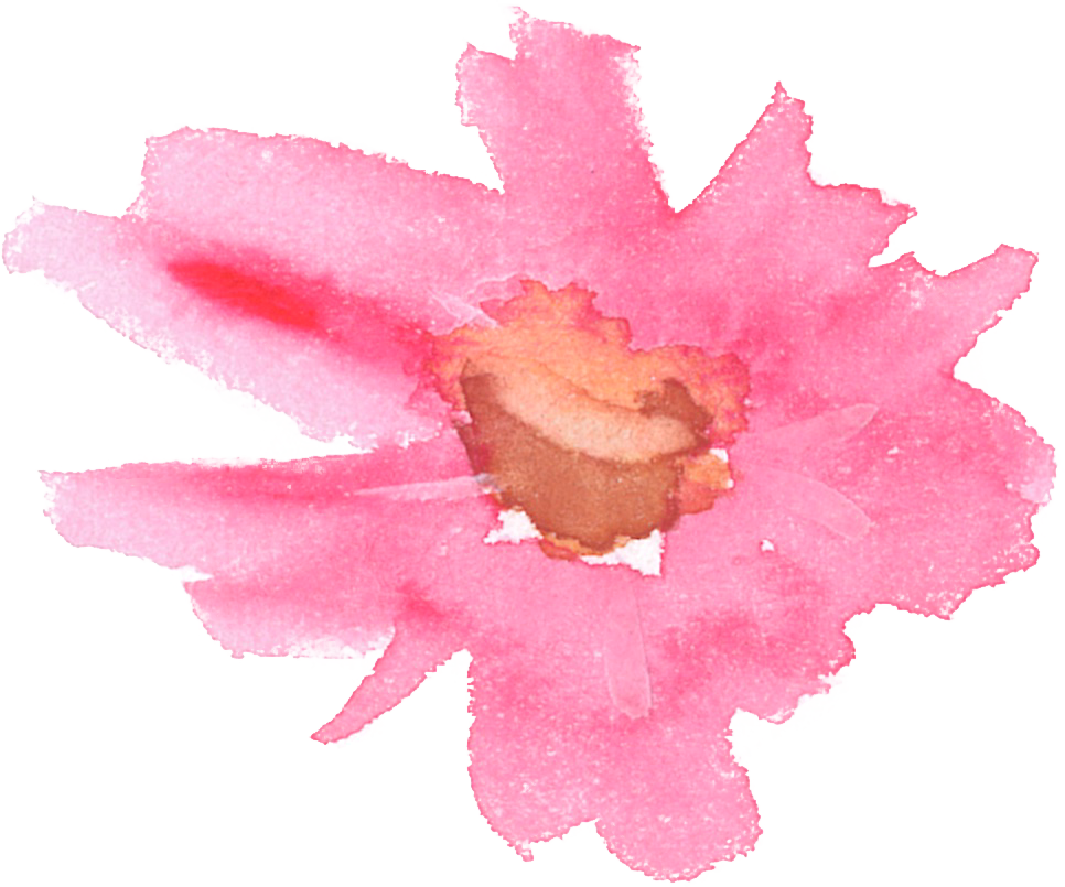 可愛いイラスト無料 水彩 コスモス 花 ピンク色 1つ 公式 イラストダウンロード
