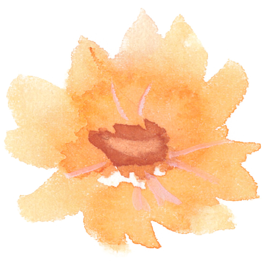 可愛いイラスト無料 水彩 コスモス 花 オレンジ色2 公式 イラスト素材サイト イラストダウンロード