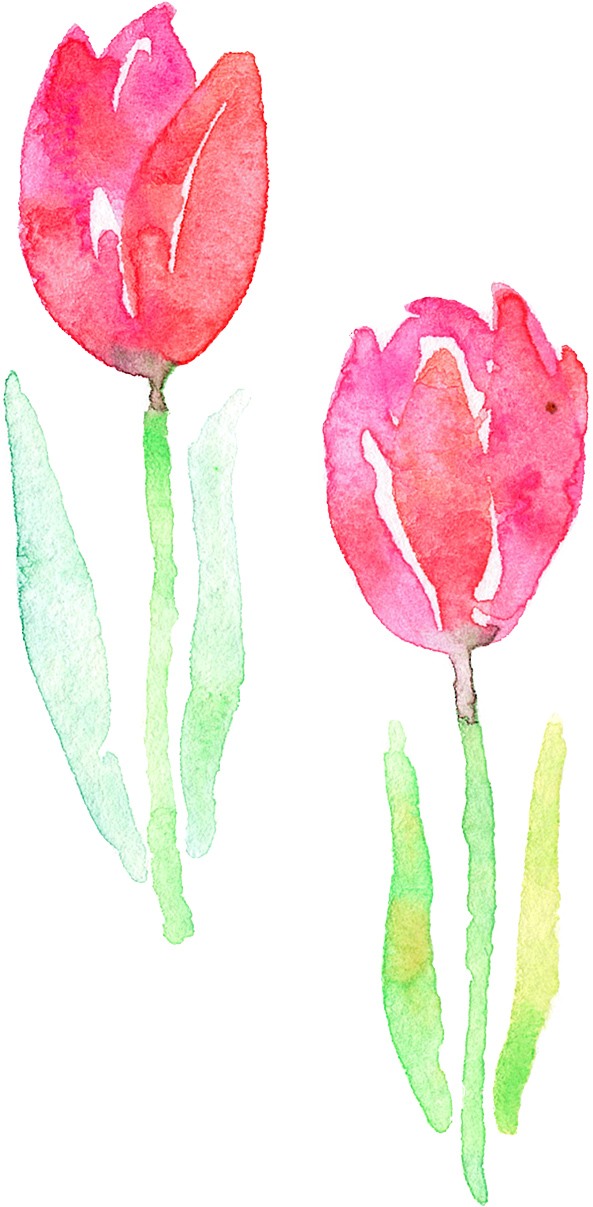 可愛いイラスト無料 水彩 チューリップ 花 公式 イラストダウンロード