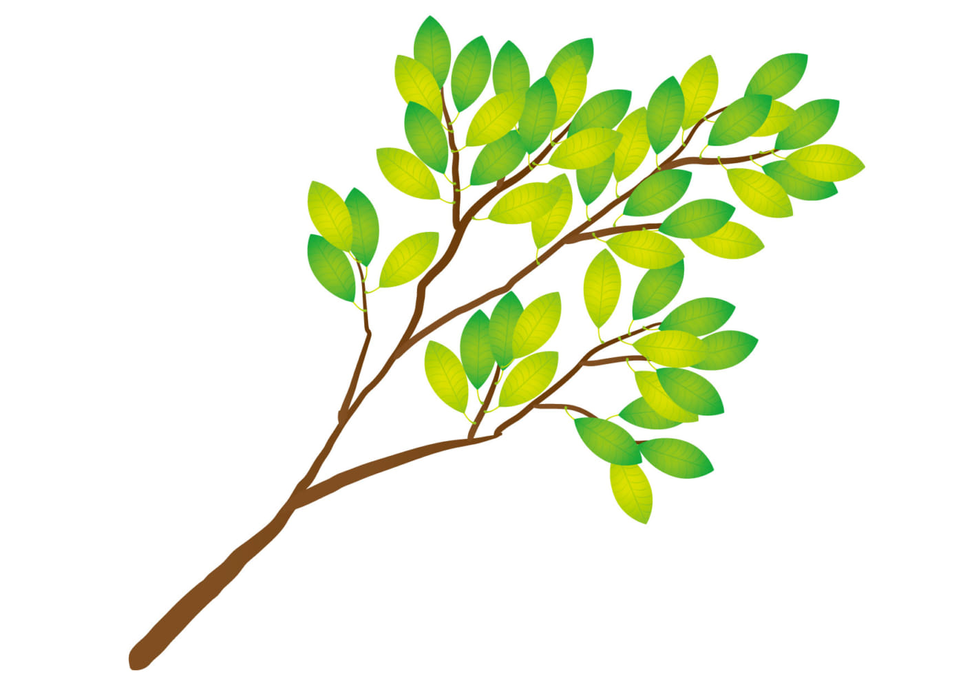 可愛いイラスト無料｜木の枝 緑色 − free illustration Tree branch green｜【公式